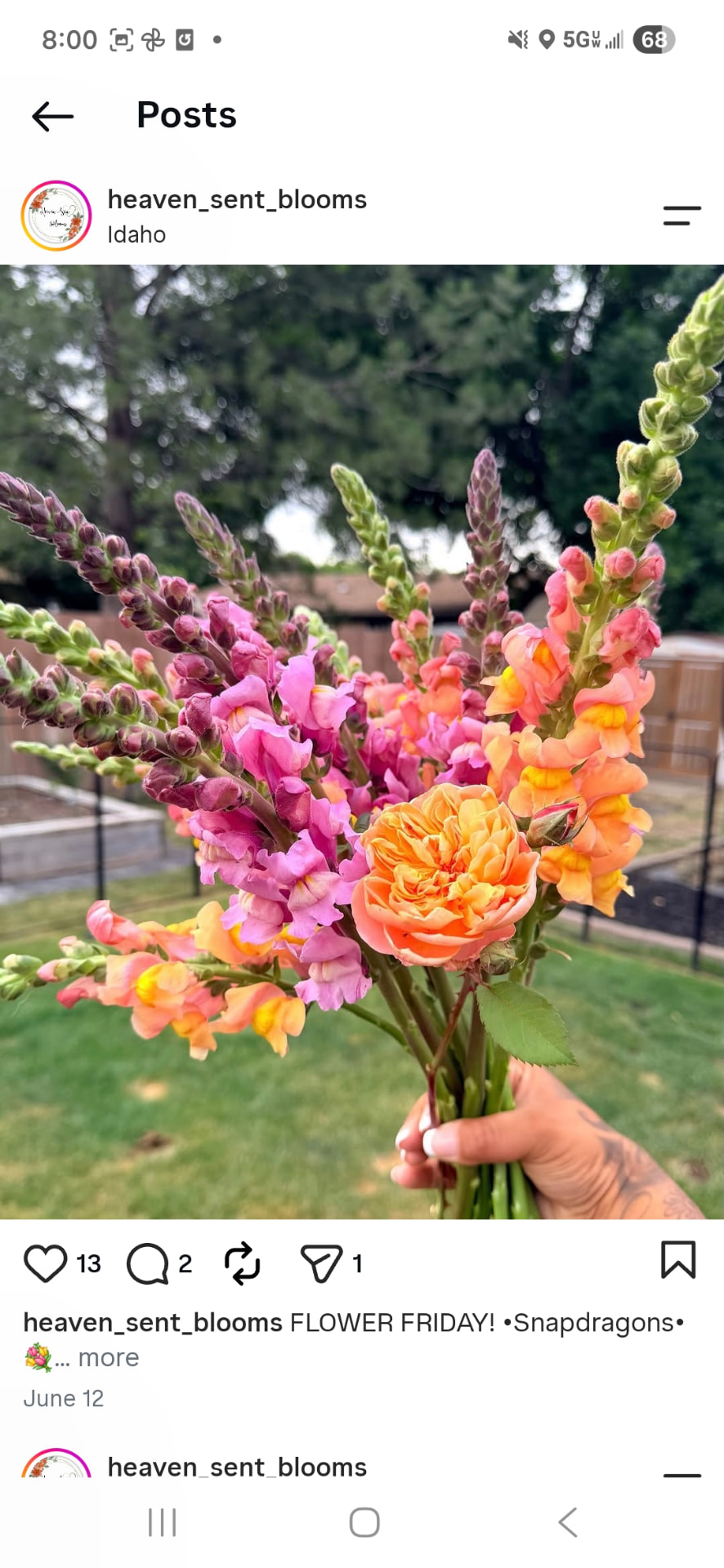 Bouquet from Heaven Sent Blooms, photo 3